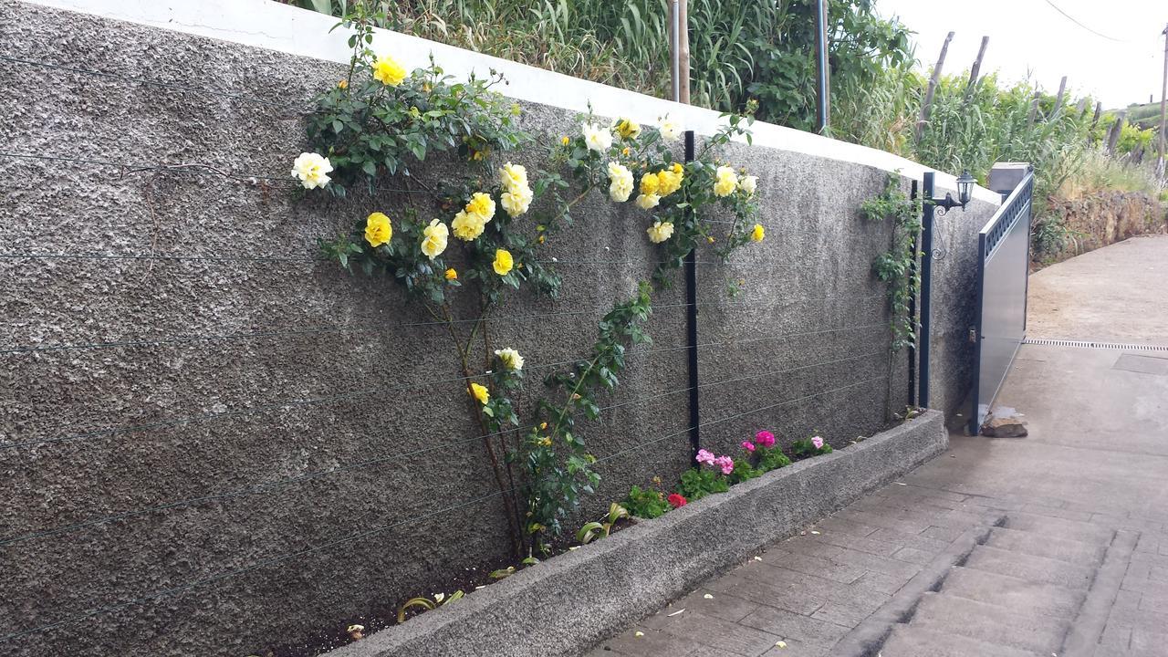 Paraiso Das Flores Estreito Da Calheta Exteriör bild