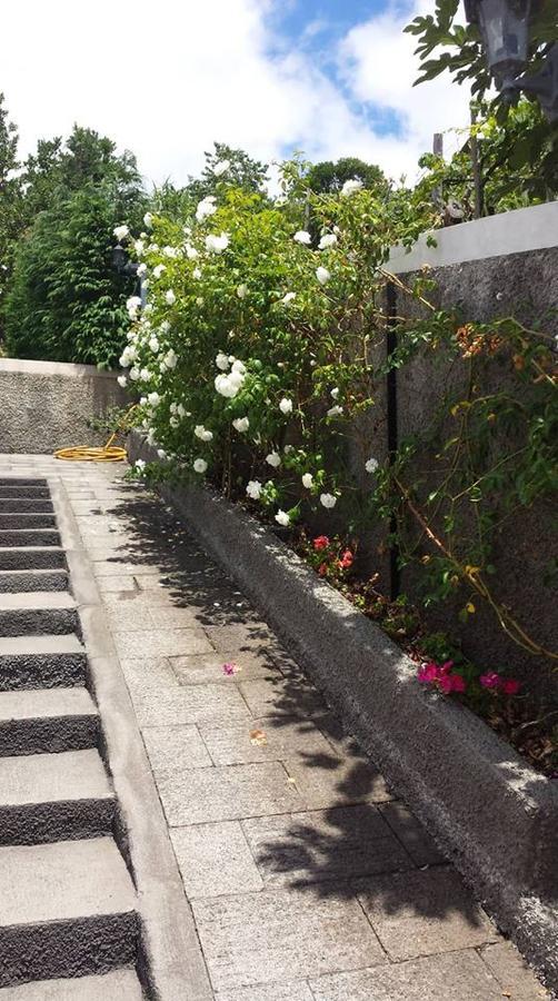 Paraiso Das Flores Estreito Da Calheta Exteriör bild